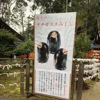 上賀茂神社（賀茂別雷神社）の写真・動画_image_247605