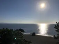 桂浜の写真・動画_image_247748