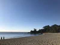 桂浜の写真・動画_image_247750