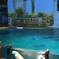 横浜・八景島シーパラダイスの写真・動画_image_247802