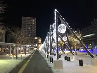 函館駅の写真・動画_image_248054