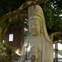 大覚寺の写真・動画_image_248140