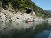 大歩危峡の写真・動画_image_248389