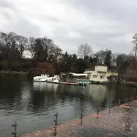 井の頭恩賜公園の写真・動画_image_248469