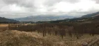 グリーンロード南阿蘇 展望所の写真・動画_image_248712