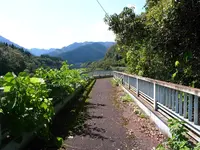 大野虹の湖歩道橋の写真・動画_image_248740