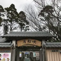 唐船峡そうめん流し市営の写真・動画_image_248953
