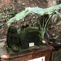 唐船峡そうめん流し市営の写真・動画_image_248955