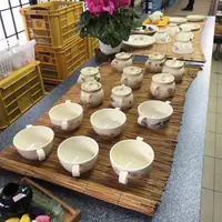 （有）桂木陶芸 桃伯窯の写真・動画_image_249004