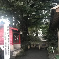 黒神埋没鳥居の写真・動画_image_249019