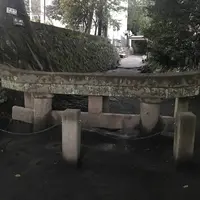 黒神埋没鳥居の写真・動画_image_249020