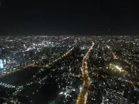 SKY GARDEN 300の写真・動画_image_249049