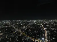 SKY GARDEN 300の写真・動画_image_249051