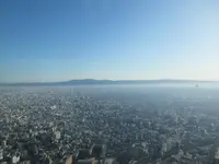 SKY GARDEN 300の写真・動画_image_249061