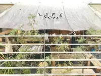 ＬＩＦＥＳｏｎの写真・動画_image_249123