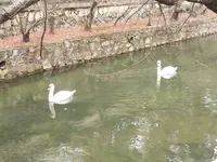 大原美術館の写真・動画_image_249245