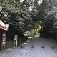 城山展望台の写真・動画_image_249331