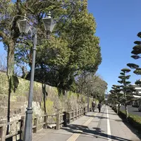 鶴丸城跡の写真・動画_image_249391