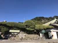 照国神社の写真・動画_image_249397