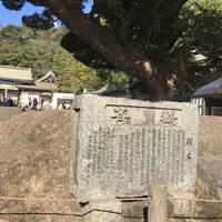 照国神社の写真・動画_image_249398