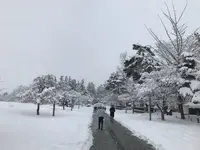 米沢城址の写真・動画_image_249449