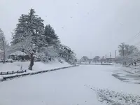 米沢城址の写真・動画_image_249482