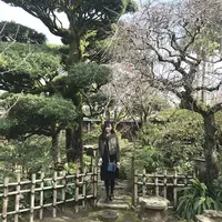 沈壽官窯の写真・動画_image_249795