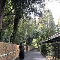 沈壽官窯の写真・動画_image_249796