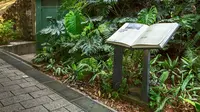 フォート・カンニング公園の写真・動画_image_249813