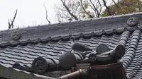 石船神社の写真・動画_image_249871