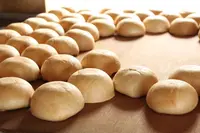 本間のり屋麸店の写真・動画_image_249970