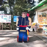 城山展望台の写真・動画_image_249990