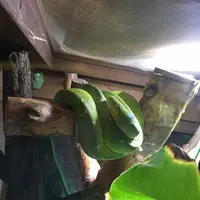 体感型動物園 『iZoo』の写真・動画_image_250073