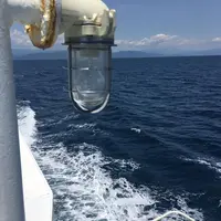 駿河湾フェリー（土肥）の写真・動画_image_250090