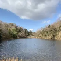 篠田砂防池の写真・動画_image_250130