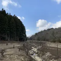 大正池の写真・動画_image_250131