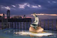 海遊館の写真・動画_image_250214