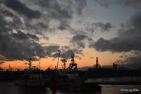 大阪港の写真・動画_image_250216