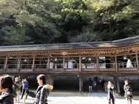 金刀比羅宮（こんぴらさん）の写真・動画_image_250240