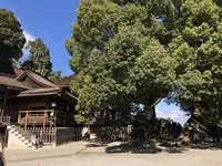 金刀比羅宮（こんぴらさん）の写真・動画_image_250241