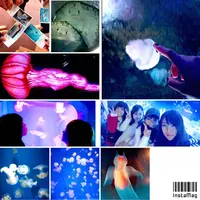 新江ノ島水族館の写真・動画_image_250244