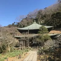 瑞泉寺の写真・動画_image_250401