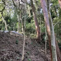 佐太神社の写真・動画_image_250512