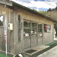 佐陀乃だんだん家の写真・動画_image_250515