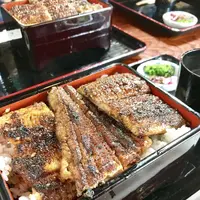 大はかやの写真・動画_image_250520