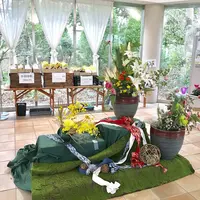 松江イングリッシュガーデンの写真・動画_image_250529