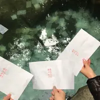 八重垣神社の写真・動画_image_250558