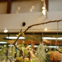 食卓manoの写真・動画_image_251104