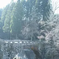 二俣橋の写真・動画_image_251124