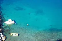 カンパニアの写真・動画_image_251169